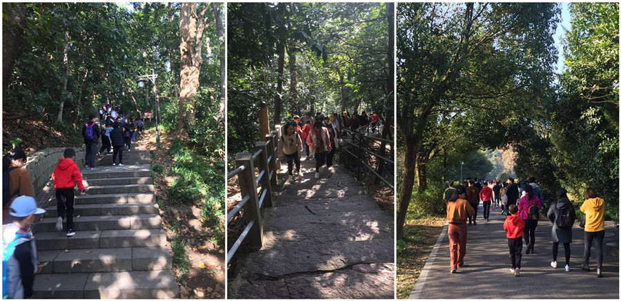 德赢AC米兰团建活动